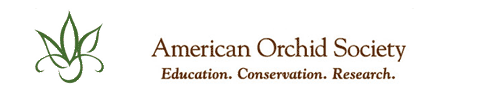 AOS Orchid Forum